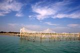 IMG_6632.CR2