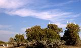 IMG_6650.CR2