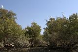 IMG_6656.CR2