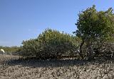 IMG_6665.CR2