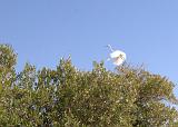 IMG_6668.CR2