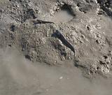 IMG_6674.CR2