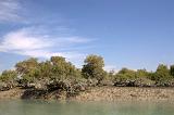 IMG_6681.CR2