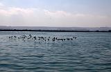 IMG_6691.CR2
