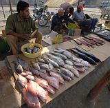 IMG_6797.CR2